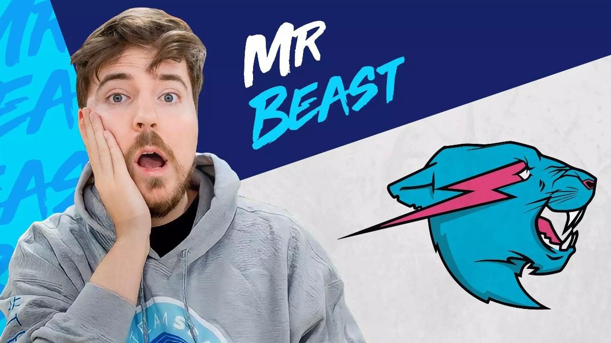 Mr Beast networth